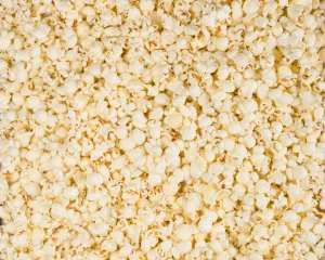 County Durham Popcorn Firm Increases Turnover After £150k Investment