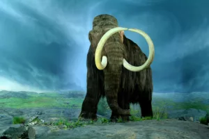 mammoth