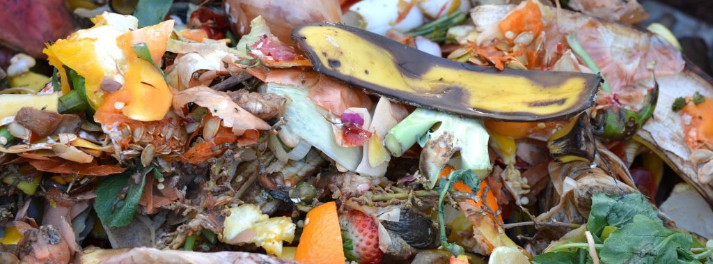 Food waste – Where Does It Happen?