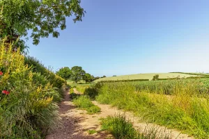 Can Agricultural Management Help Protect Biodiversity?