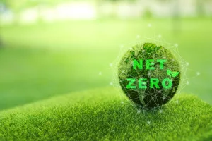 Investing in our future - the path to net zero