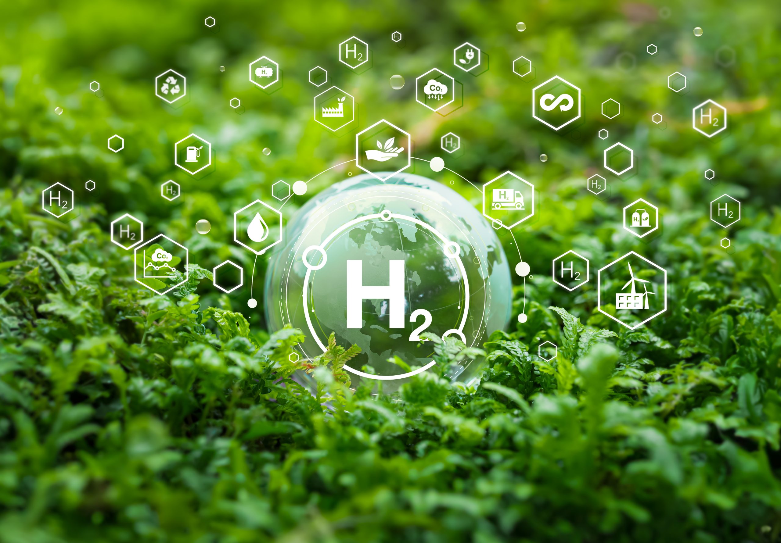 Hydrogen Trends and Predictions for 2025: Insights from Bramble Energy CEO