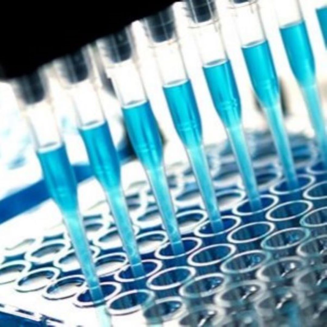 Chemspec Europe 2025