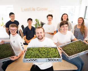 Bristol's LettUs Grows Secures Funding to Build 'Urban Farms'