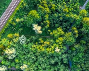 CDP and S&P recognise Knorr-Bremse’s progress in sustainability