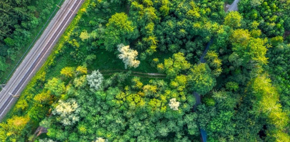 CDP and S&P recognise Knorr-Bremse’s progress in sustainability