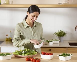 Metsa Spring uncoated fibre punnet series