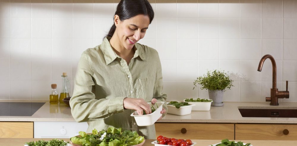 Metsa Spring uncoated fibre punnet series