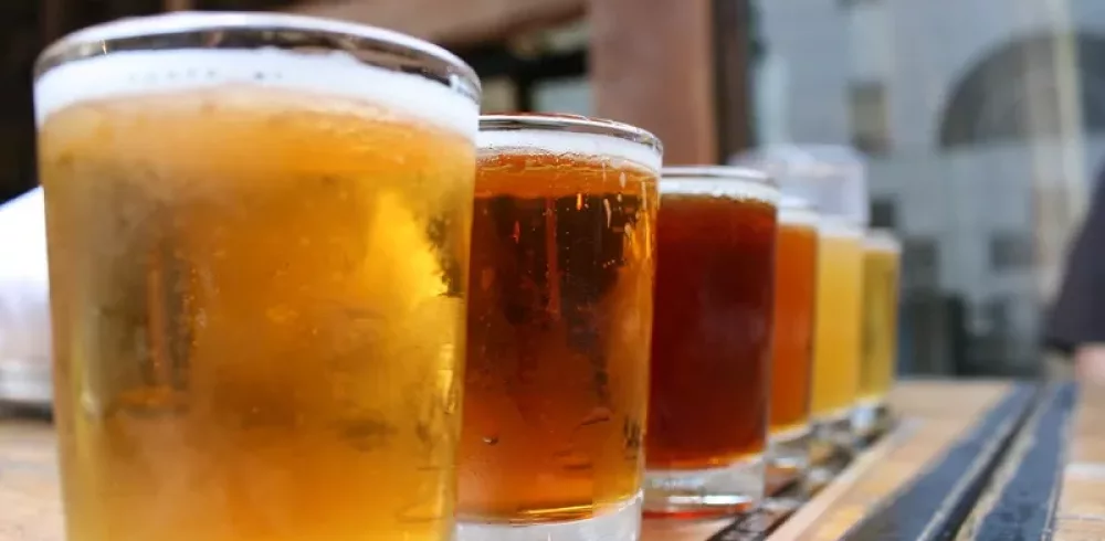 Low-Calorie Options for Beer Lovers