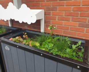 Rain Gardens Bring Sustainable Drainage Lessons to Village School