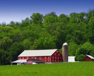 Farmer Recognised for His Conservation Efforts