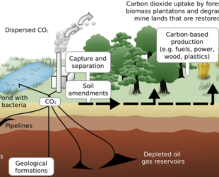 Carbon Emissions : Promise of Products From Captured Carbon