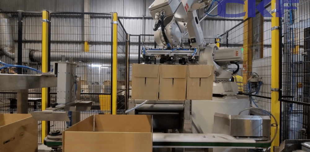 CKF Supply Their Latest Robotic Case Packing System to a Leading 3PL