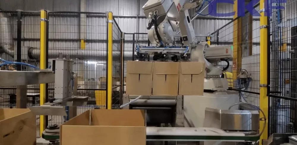 CKF Supply Their Latest Robotic Case Packing System to a Leading 3PL