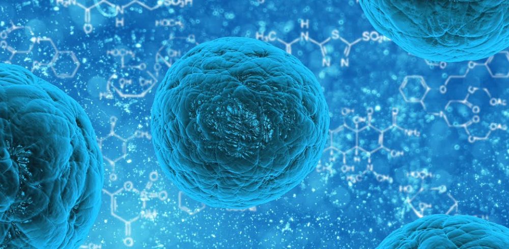 Canadian stem cell funding surge underscores U.S. uncertainty