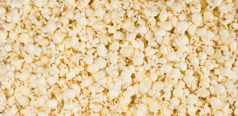 County Durham Popcorn Firm Increases Turnover After £150k Investment