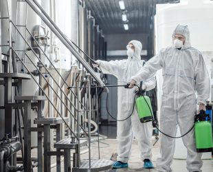 Sanitation at factory of craft beer. Guys in protective suits and masks disinfect with chemical spray bags at plant, free space