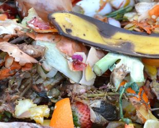 Food waste – Where Does It Happen?