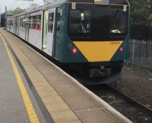 Class 230 Train in Service