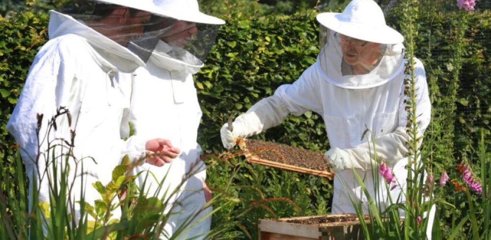 Just Bee ‘Buzzing’ After Automation Investment