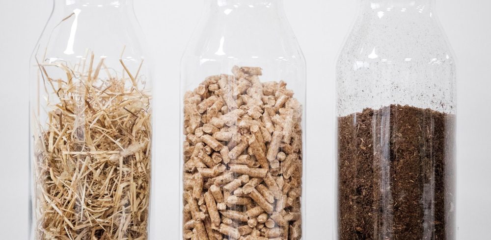 LAB199 - Biomass image (1)