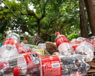 Oceana: Coca-Cola and Pepsi’s Plastic Packaging Use Increases