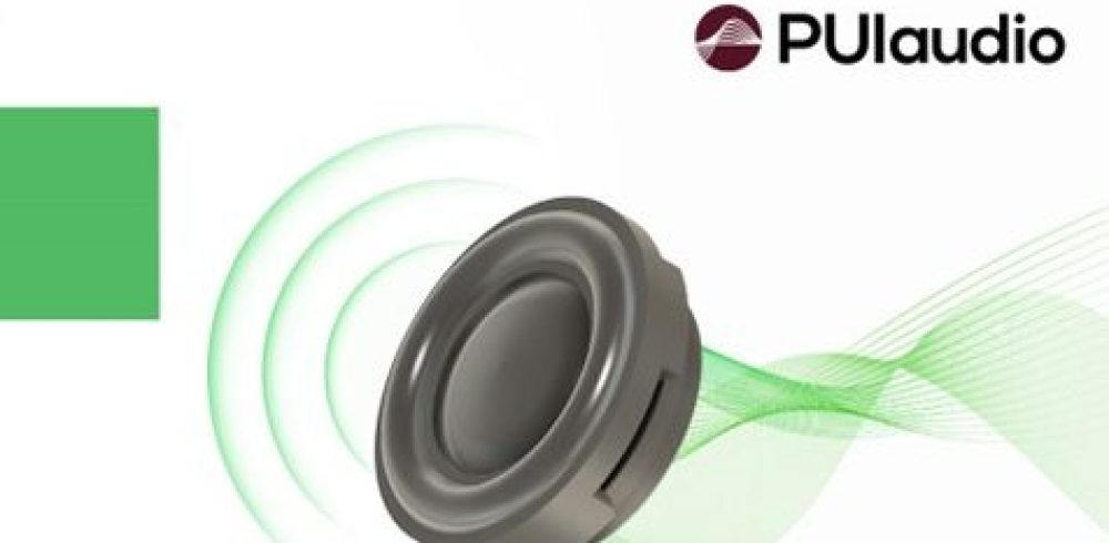 PUI Audio