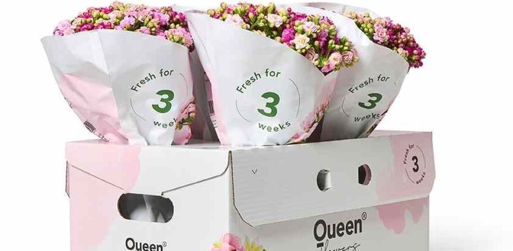 QueenFlowers – DS Smith 2025 small QueenFlowers - DS Smith 2025 small