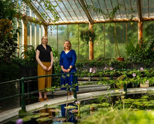 Royal Botanic Gardens, Kew and Schneider Electric Establish Partnership