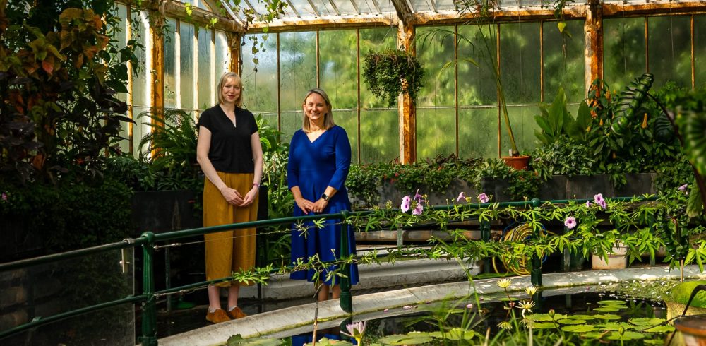 RBG, Kew and Schneider