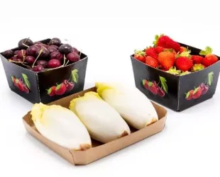 SOLIDUS SOLUTIONS Showcase Circular Retail Ready Packaging at Fruit Logistica