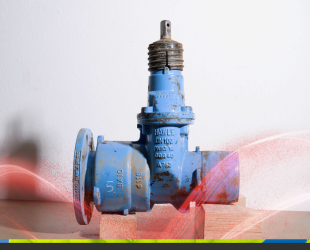 25-Year Test Confirms Long-Term Performance of AkzoNobel’s Resicoat  