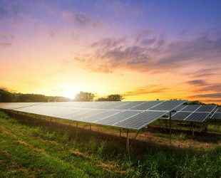 Powering Our Future Through Solar Farms