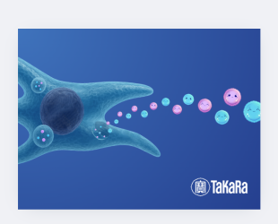 Takara Bio Europe Launches Defined, Xeno-Free Medium for High-Yield EV Production