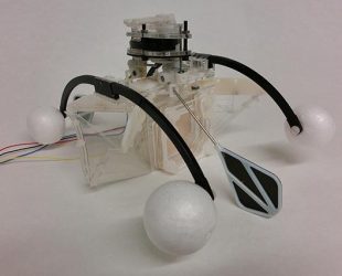 Row-bot Drinks Dirty Water To Swim Forever