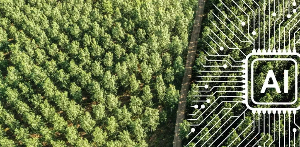 What does AI have to do with forestry management? It turns out, a lot