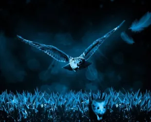 Research published in ICE journal hails the owl “the king of stealth”