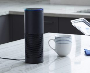 How Voice Search is Being Used in Consumer Industries