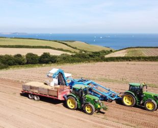 Automating Efficiency in Sustainable Potato Packing