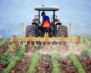 Conference Shows Farming's Crucial Environmental Role