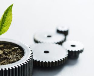 Metal gears with little plant on white background.