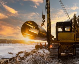 Tips to Make Sure Your VpCI® Is Working