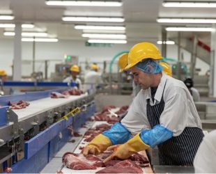 Collaborative Thermal Imaging Project Enhances Fire Safety at Meat Plant 