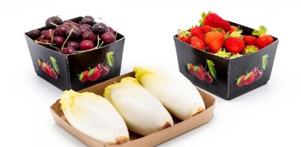 SOLIDUS SOLUTIONS Showcase Circular Retail Ready Packaging at Fruit Logistica