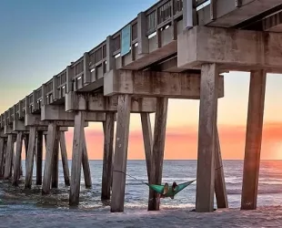 Human Spine Inspired Bridge Pier