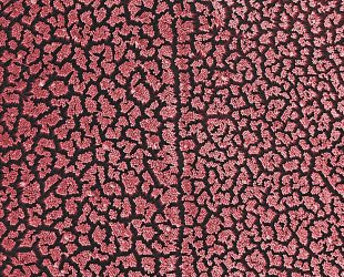 SEM and XPS complement each other