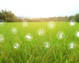 Valeo Foods Group Recognised for Sustainability Leadership with EcoVadis Platinum Medal