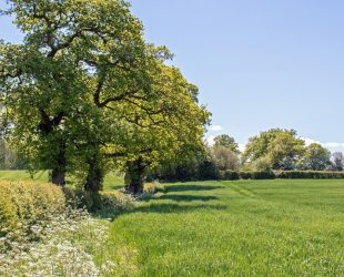 FDF Leads Food System Drive to be Nature Positive by 2030