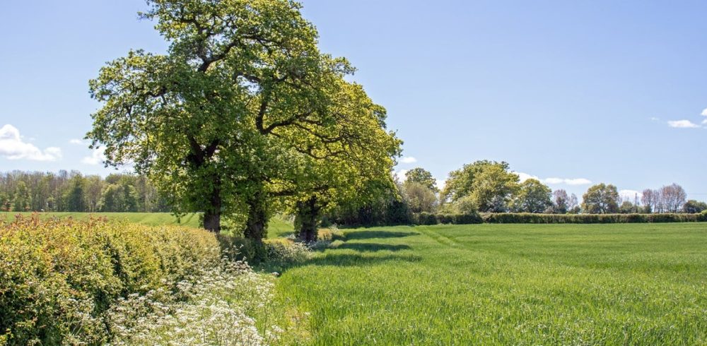 FDF Nature Handbook Nature Positive by 2030 