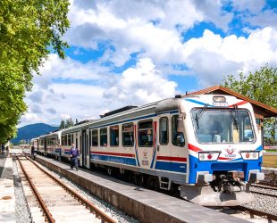 Ticket to the Turkish Rail Market